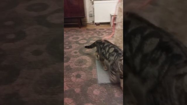 КАКОГО ЦВЕТА ГЛАЗА У КЛАЙДА??️ смотреть онлайн