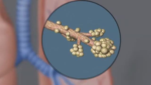 Дыхание (без слов) смотреть онлайн