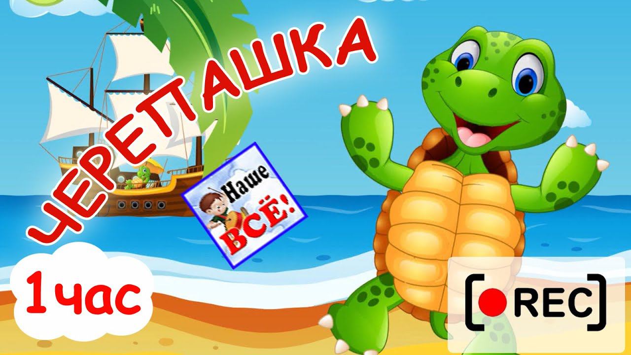 Черепашка ЧОК-ЧОК. Часовая версия /Мульт-пеенка. Наше всё! [rec] смотреть онлайн