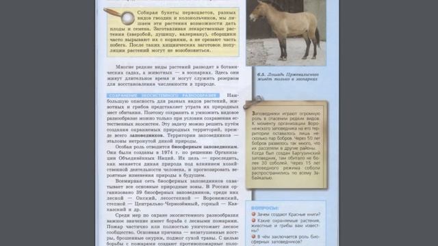 Биология (Л.Н.Сухорукова) 7к §55 Пути сохранения биоразнообразия смотреть онлайн