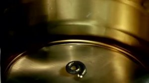 Букашки.07.Сороконожки.