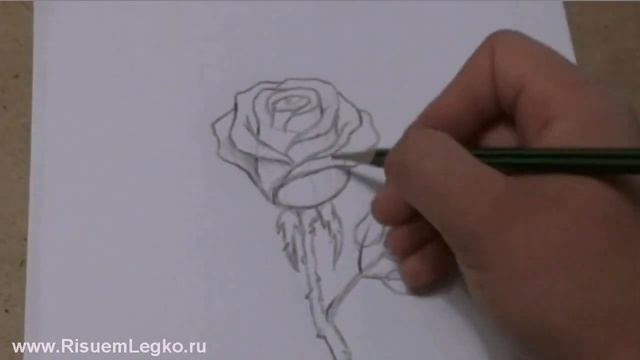 Рисуем Розу - Карандашом Поэтапно - Урок №6 смотреть онлайн