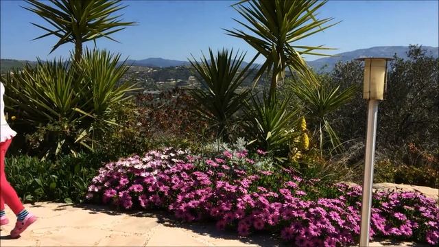 Физминутка на английском Face And Body