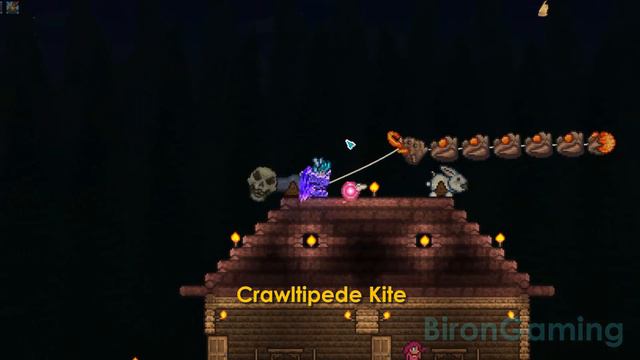 Terraria 1.4 - How To Get Zoologist NPC + Bestiary & Cat Guide смотреть онлайн