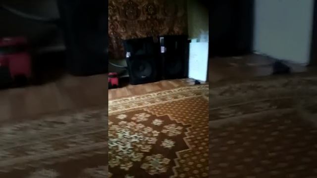 Эстрадные колонки дома смотреть онлайн