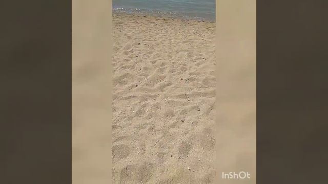 Karakol town/ город Каракол дача 26.05.2020 смотреть онлайн