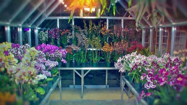 Презентационный ролик новой специальности 