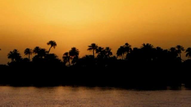 FLOWERS AND SUNSETS: musica Goran Bregovic: photo by Yvonne Morandi смотреть онлайн