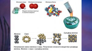 §7 «Вещества и явления в окружающем мире», Биология 5 класс, Сивоглазов, Плешаков.mp4