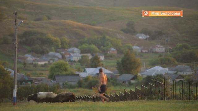 Белгородская область – в ТОП-3 регионов по качеству жизни в селе смотреть онлайн