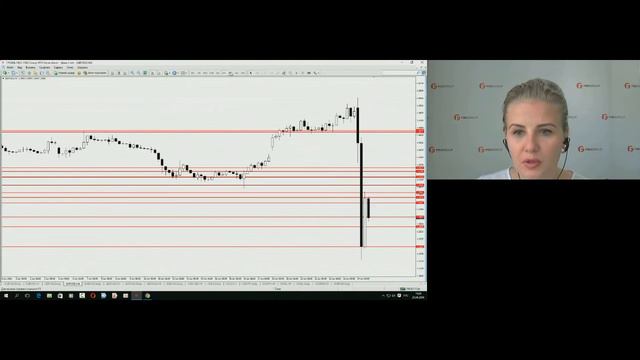 Татьяна Лейко. Обзор рынков FIBO Group 24 июня 2016 г. смотреть онлайн