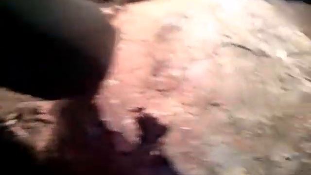 как выпримить согнутую шину бензопилы сразу в лесу смотреть онлайн
