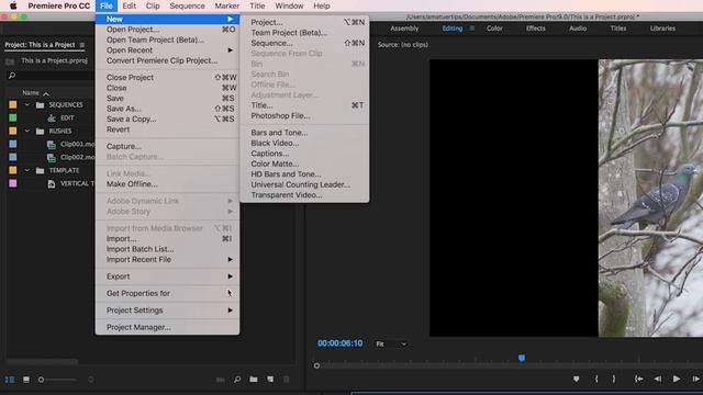 Set up and Export a Vertical Video from 16:9 Footage - Adobe Premiere Pro - Workaround Workflow смотреть онлайн