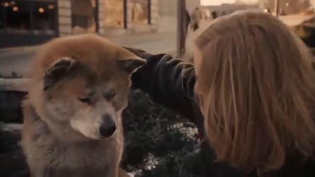 Лучший момент из Хатико смотреть онлайн