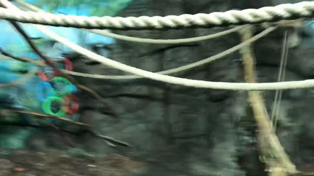 Влог мой поход в океанариум и цирк