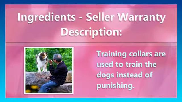 Petrainer PET998DBB2 Waterproof and Rechargeable 330 yd Remote Dog Training E collar for 2 Dogs wit смотреть онлайн