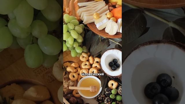 Дроздов о вегетарианстве смотреть онлайн