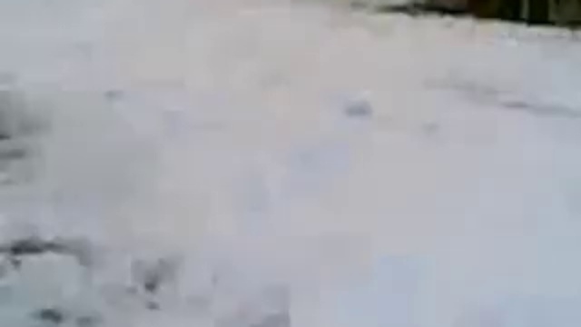 Баран Боря)))))))))