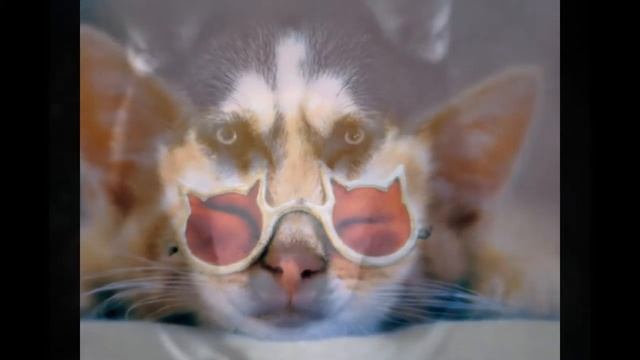 Фото которые можно поставить на аву! смотреть онлайн