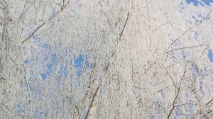 ❄️😀Музыка из фильма "Три орешка для Золушки". Композитор Карел Свобода. 🎼 Видео Баталовой Елены.