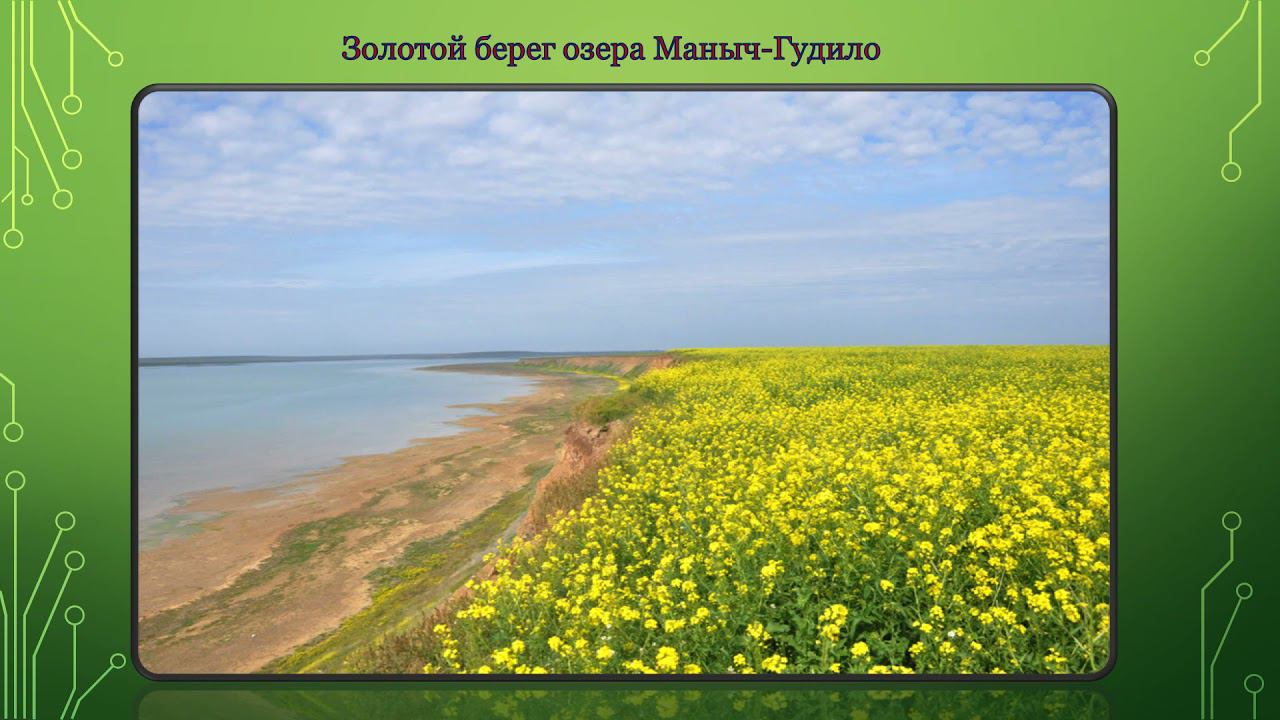 МИР ЗАПОВЕДНОЙ ПРИРОДЫ. КО ДНЮ ОКРУЖАЮЩЕЙ СРЕДЫ смотреть онлайн