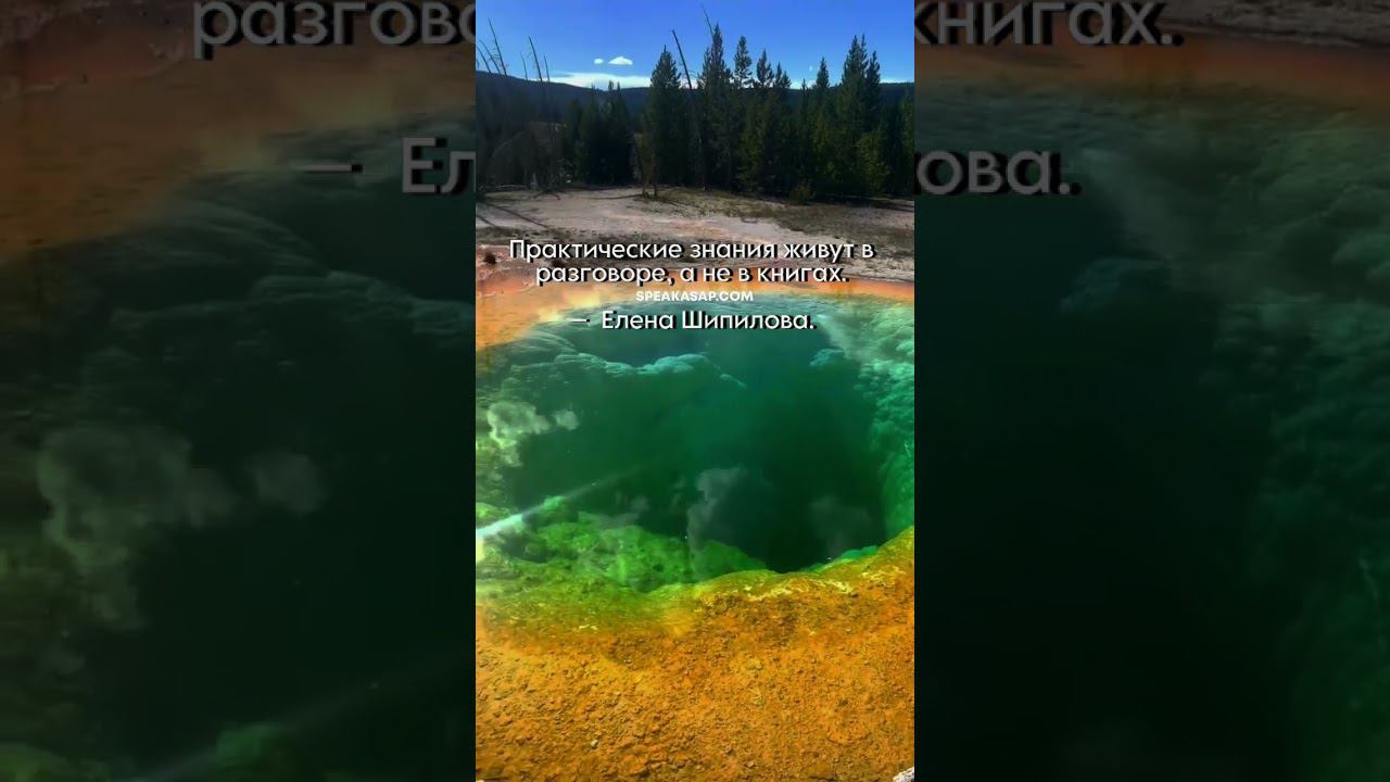 Практические знания живут в разговорах, а не в книгах. speakASAP®. Елена Шипилова®. смотреть онлайн