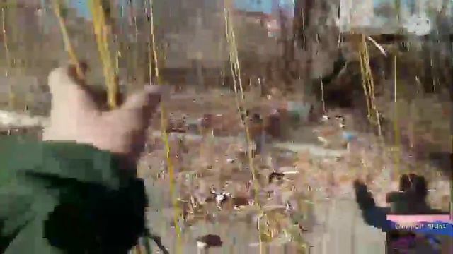 Обзор. На иву смотреть онлайн
