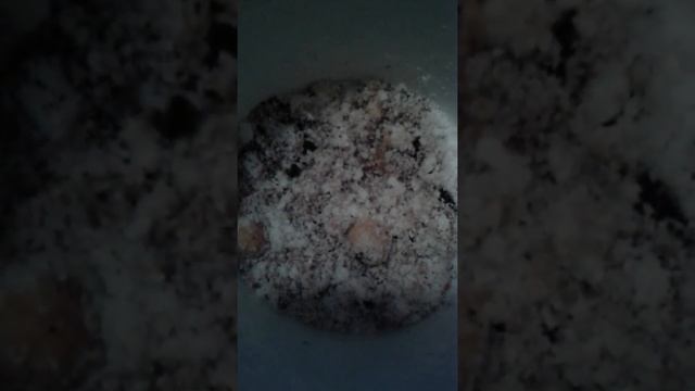 Piccolo composter da cucina смотреть онлайн