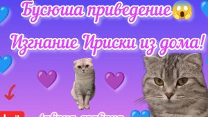 Видео 15.😻 Буся- приведение пушистое!😱
Пытается напугать Ириску и изгнать ее из дома ! 🤣