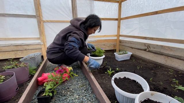 Влог / Организация мини огорода / Бюджетные находки для дома в ОКЕЙ / Загородная жизнь смотреть онлайн