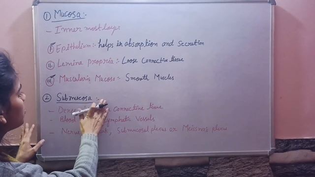 organization of GIT|| human digestive system|| NEET|| class 11th смотреть онлайн