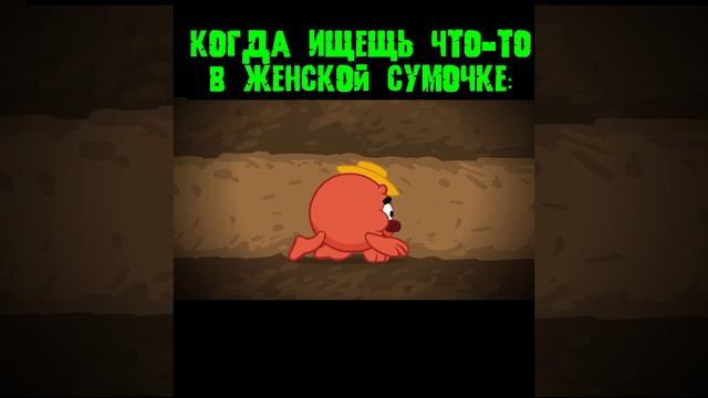 типичная женская сумочка