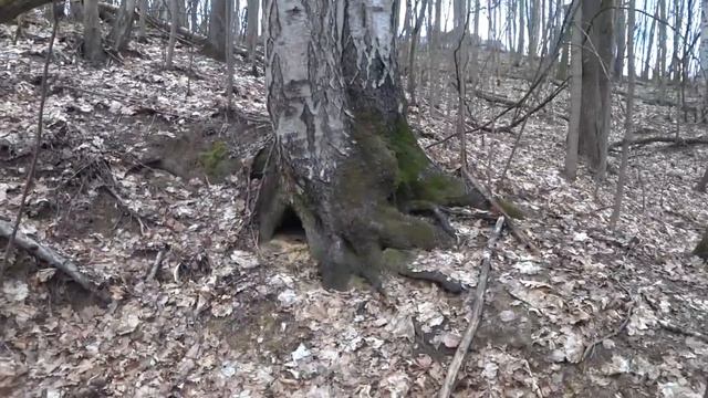 ДЕНЬГИ В КРИЗИС ВРЕМЯ ВОЗМОЖНОСТЕЙ смотреть онлайн