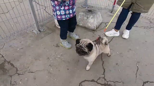 СЕМЕЙНАЯ ПОЕЗДКА ИЗ СИМФЕРОПОЛЯ В НОВОРОССИЙСК смотреть онлайн