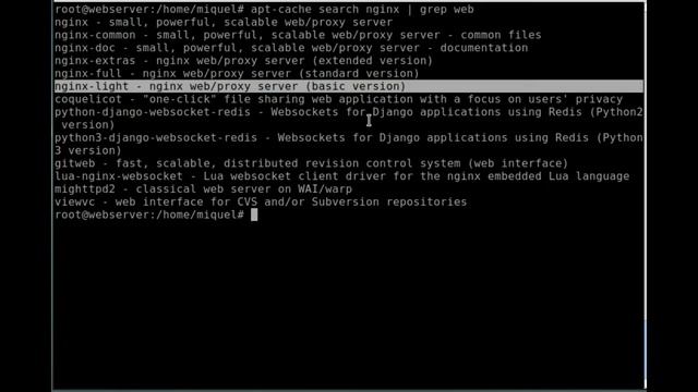 How to install Nginx on a Debian system смотреть онлайн