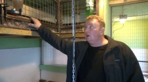 Устройство курятника ЛПХ «Перепелка» г.Дубна