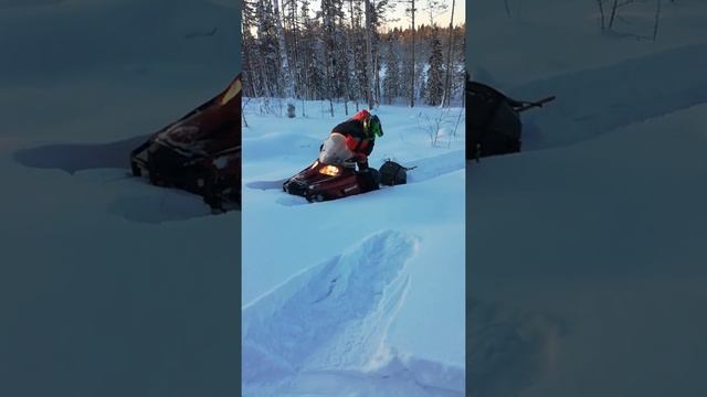 Arctic cat bearcat z1 xt в гору смотреть онлайн