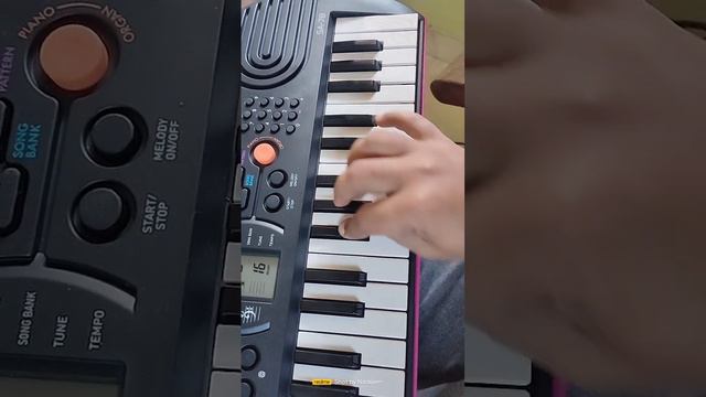 #chadtasuraj #kawali on #casio SA-78 by Nadeem смотреть онлайн