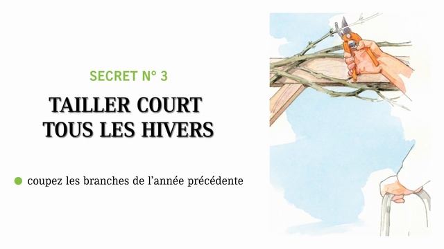 5 secrets pour cultiver la glycine смотреть онлайн