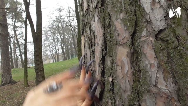 ? Long Nails In The Park ✨ Wood Tapping And Scratching ? Cat Eye Nail Design