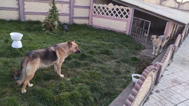 Славянск. 8. 11. 2022 г. Итоги дня. Сравнение батонов - местного и привозного. смотреть онлайн