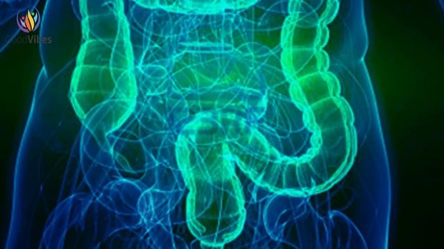 Constipation Relief Binaural Beats➤Constipation Treatment➤Constipation Relief Frequency