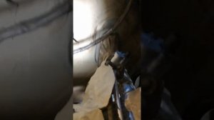 Замена рулевой рейки Ford Focus 2 2008г.