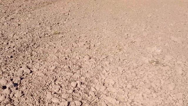 Монеты СССР. Поиск в полях с Nokta Makro Simplex+ #металлоискатель #коп2021 #поисккладов #simplex