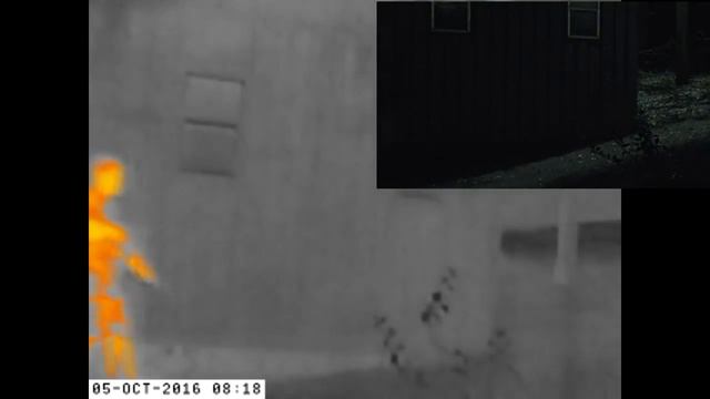 Flir Scout TK termovizija - monokular смотреть онлайн