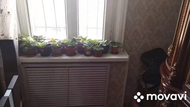 Алматы, погода. Подруга угощает.Выходные дни. смотреть онлайн