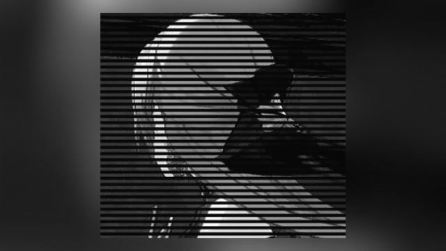 ONIMXRU, STRAWANGLE - PSYCHO CRUISE (Slowed + Reverb × Bronya)