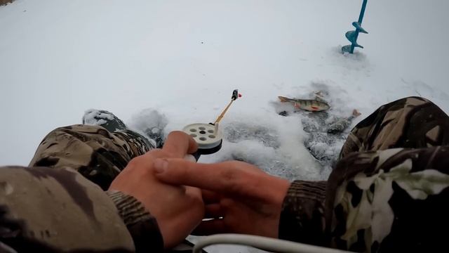 НАДО БЫЛО СРАЗУ ИДТИ НА ТОТ БЕРЕГ!!! Зимняя рыбалка 2022-23 смотреть онлайн