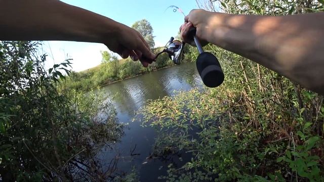 Он на грузик кидается, какие они тут голодные! Рыбалка на спиннинг на пруду. смотреть онлайн