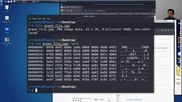 NCL Summer Live - Forensics w/ Binwalk - July 29 2021 смотреть онлайн